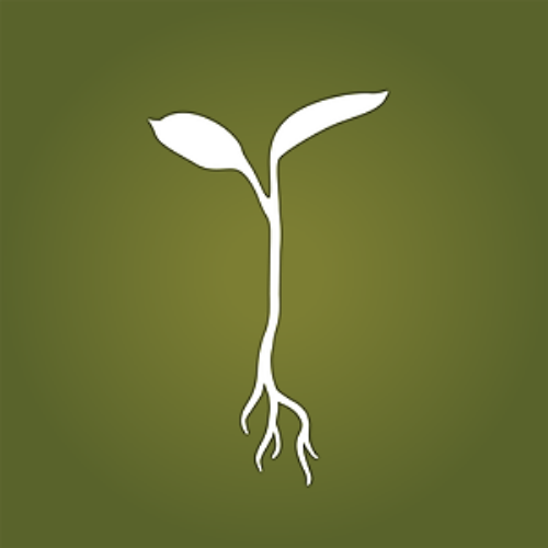 raw garden logo